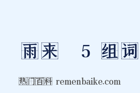 風雨来記5组词是什么意思的图片